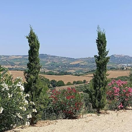 Collecorvino Appartamento Olivo מראה חיצוני תמונה
